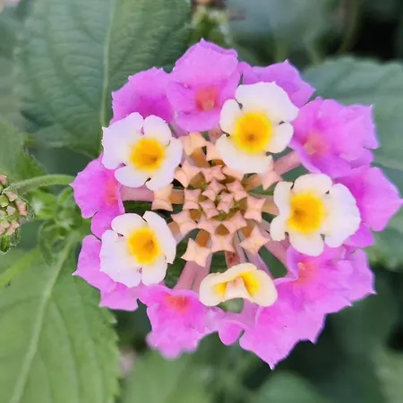 Excellent T2 With Pools 400m Falesia * Albufeira